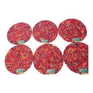 Pioneer Woman Fiona Floral Round Braided Cotton Placemat Set of 6 with Tags 15”